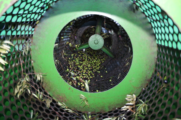 separacion mecanizada